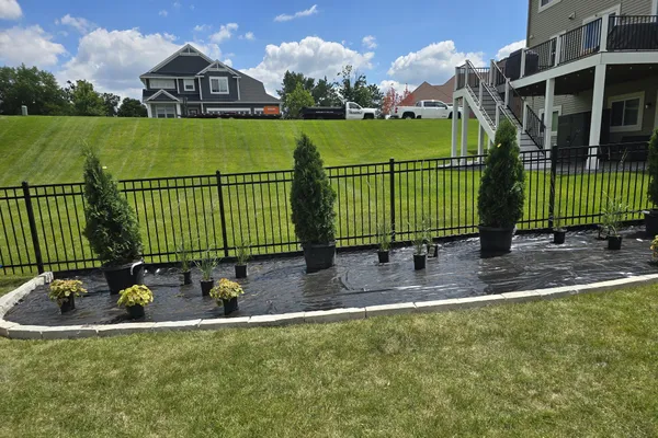 Arborvitae shrubs planted along residential fence line
