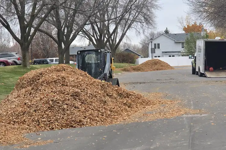 Skid steer pushing large leaf piles during fall cleanup at residential property