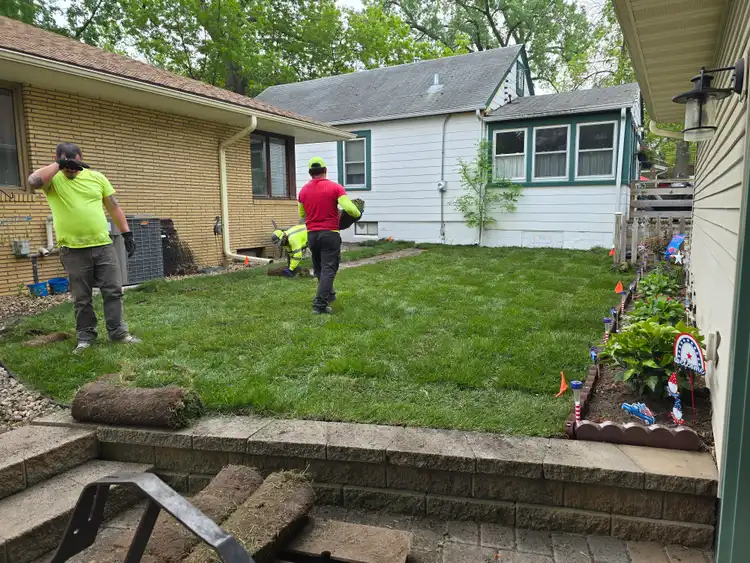 Crew installing sod rolls in residential backyard lawn replacement