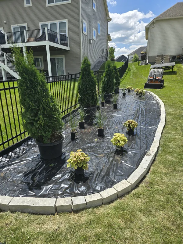 Arborvitae and shrubs staged for planting in curved landscape bed with stone edging